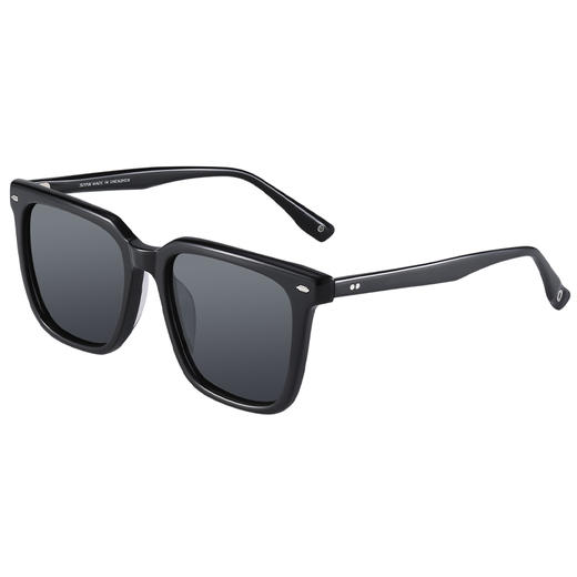 【特价秒杀款】普莱斯SS10003 板材 全框太阳镜 商品图0