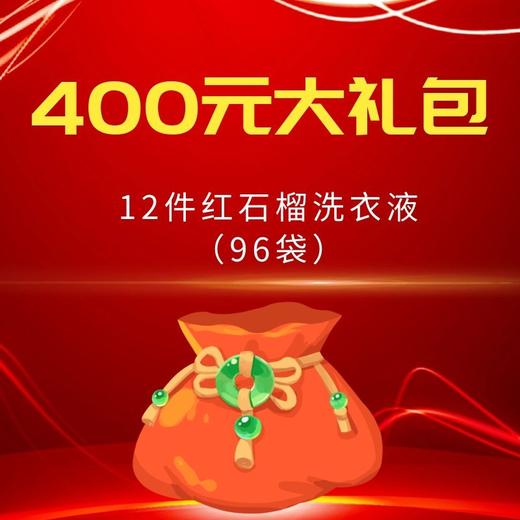 武汉方案礼包-红石榴洗衣液（件） 商品图0