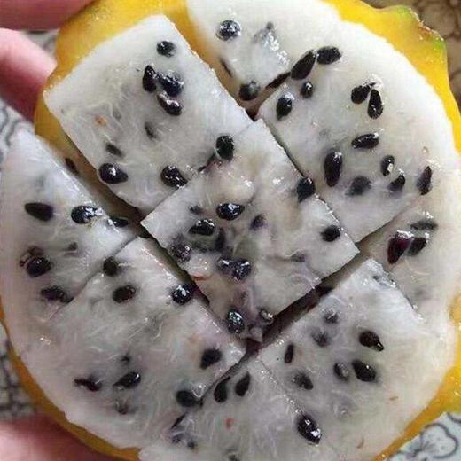 海南燕窝果 土豪水果 绵滑若燕窝 富含大量花青素|百里食 商品图4