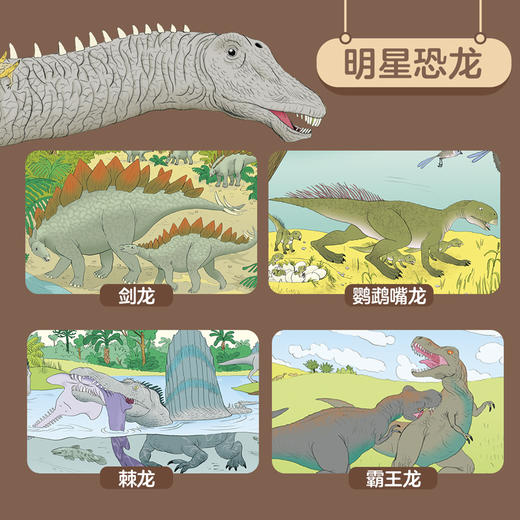 亲亲历史图书馆（第3辑）（共2册） 商品图4