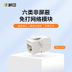 六类非屏蔽免打网络模块 31176