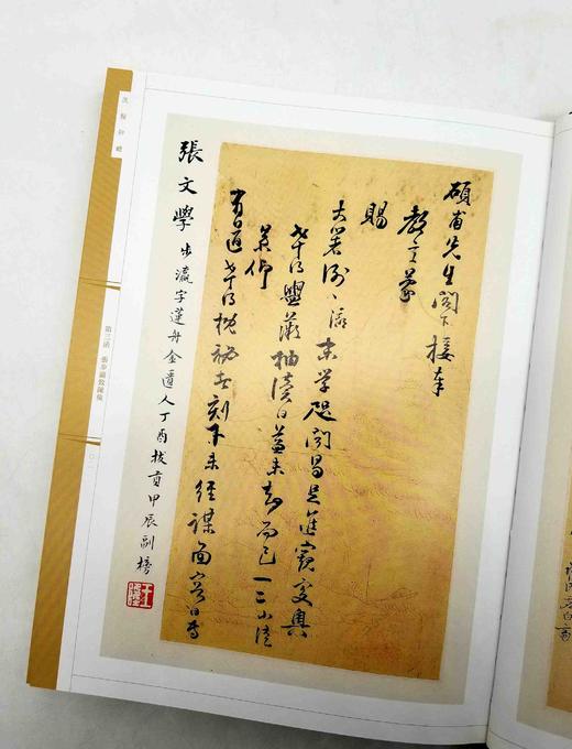 《流翰仰瞻：陈硕甫友朋书札》，布面精装，16开函套，清 陈奂著，上海古籍出版社2012年版，定价400，售价208元，品相9成。 商品图9