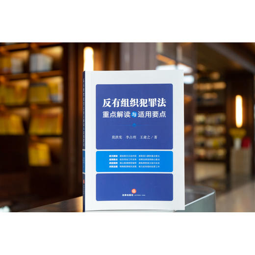 反有组织犯罪法重点解读与适用要点 莫洪宪 李占州 王肃之著 商品图1