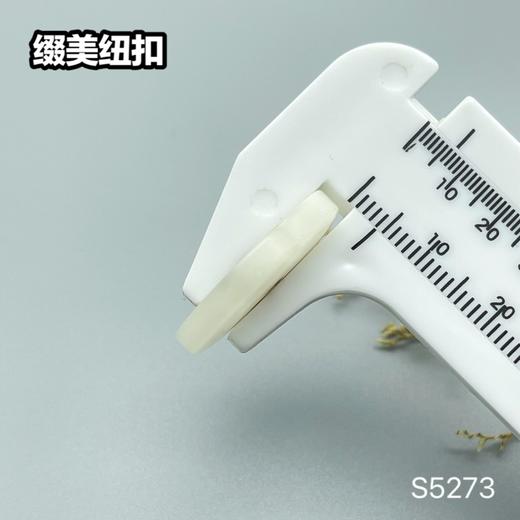 S5273(整包购买) 商品图7