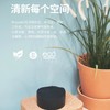 【双重国际专利80天缓释消臭除醛】日本原装RhysuAir芮颂空净盒三倍祛味母婴可用多效解决【GPQ】 商品缩略图3