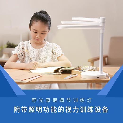 野光源眼调节训练灯 商品图1