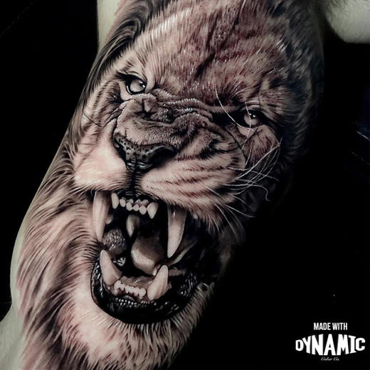 美国进口戴安尼高光白调和白纹身专用白色色料惊蛰刺青器材 商品图2