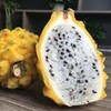 海南燕窝果 土豪水果 绵滑若燕窝 富含大量花青素|百里食 商品缩略图1