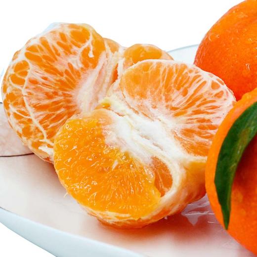 柳州 香橙沃柑 新鲜采摘 原生态 5斤/9斤装 商品图4