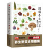 图解养生野菜速查全书 全新升级版 商品缩略图0