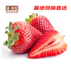 【GYZYD】花溪有机草莓 约3斤/筐 商品缩略图0