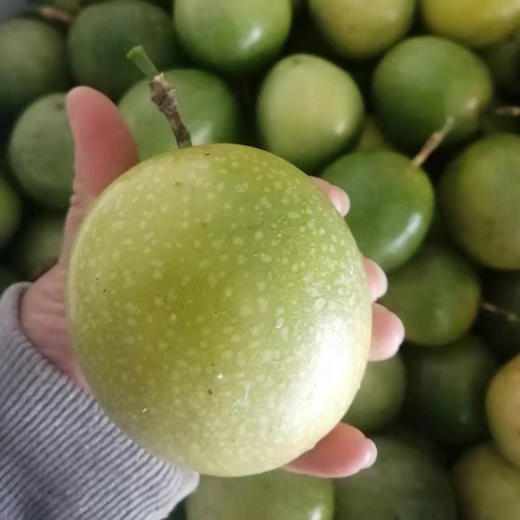 海南黄金百香果 富含维C 满口香甜 酸甜比刚刚好 |百里食 商品图1