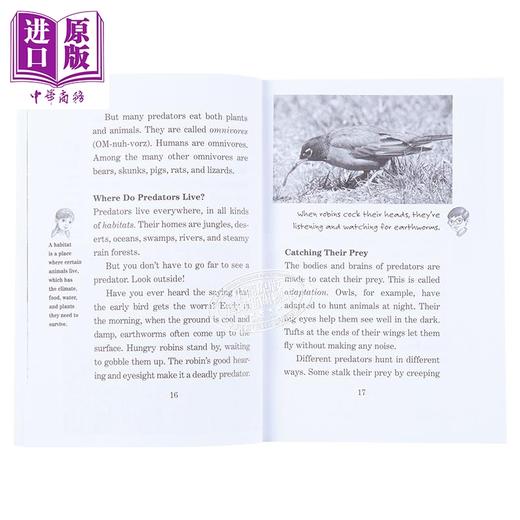 预售 【中商原版】Magic Tree House Fact Tracker 神奇树屋小百科系列38册套装 英文原版 魔法树屋儿童章节书 中小学生阅读 商品图3