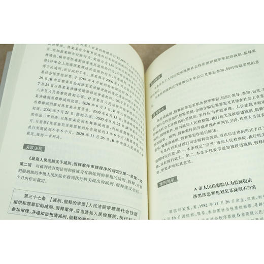 反有组织犯罪法重点解读与适用要点 莫洪宪 李占州 王肃之著 商品图4