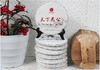 天下为公古树普洱生茶饼2018年老茶饼（7饼礼盒装） 商品缩略图0