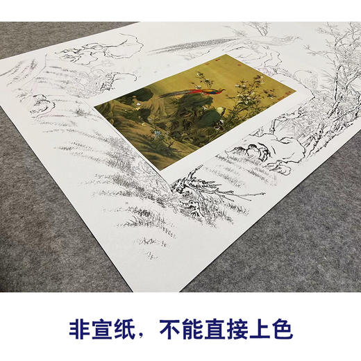 【大彩图】郎世宁工笔画白描底稿《锦春图》锦鸡临摹勾线高清打印稿LS02 商品图2