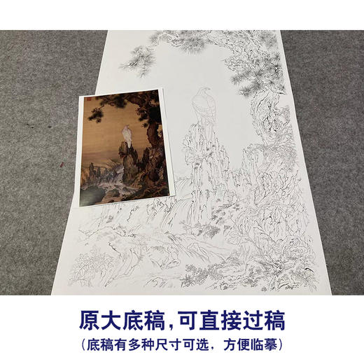 【大彩图】郎世宁工笔画白描底稿《嵩献英芝图》白鹰临摹勾线高清打印稿LS16 商品图1