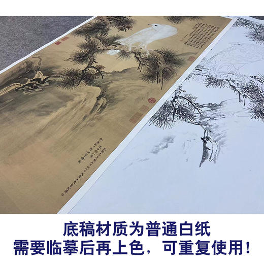 【大彩图】郎世宁工笔画白描底稿《白鹰图》临摹勾线高清打印稿LS05 商品图3