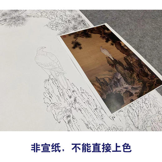 【大彩图】郎世宁工笔画白描底稿《嵩献英芝图》白鹰临摹勾线高清打印稿LS16 商品图2