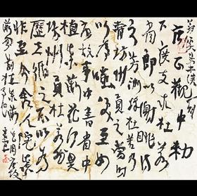 曾翔书法·草书系列之《夢溪筆談 ·卷三》