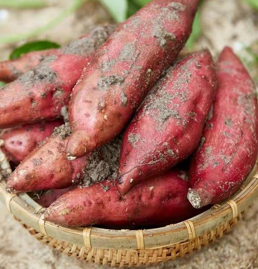 富硒板栗地瓜 高原甜糯红薯 一口惊艳 皮薄无丝 又甜又糯 香气还特别足 |百里食 商品图10