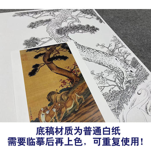 【大彩图】郎世宁工笔画白描底稿《双狮图》狮子临摹勾线高清打印稿LS15 商品图3