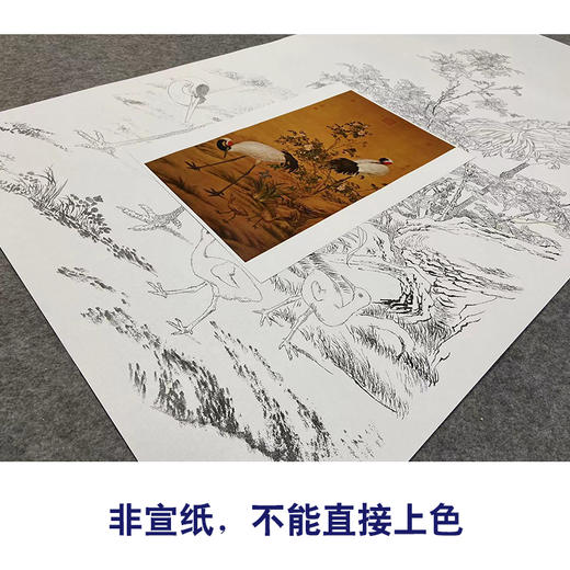 【大彩图】郎世宁工笔画白描底稿《花阴双鹤图》仙鹤临摹勾线高清打印稿LS01 商品图2