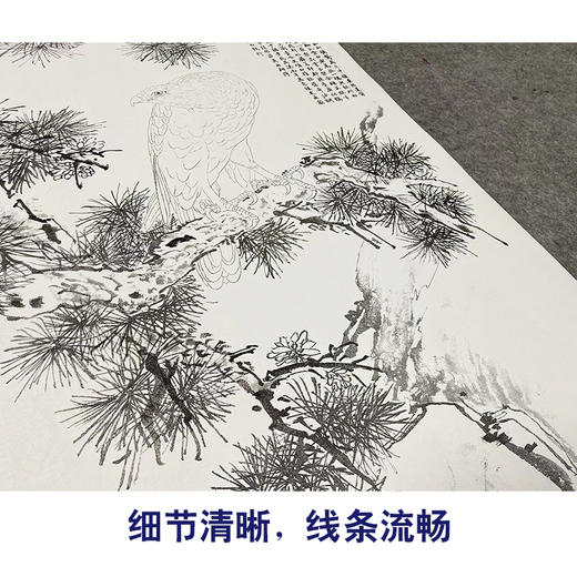 【大彩图】郎世宁工笔画白描底稿《白鹰图》临摹勾线高清打印稿LS05 商品图4