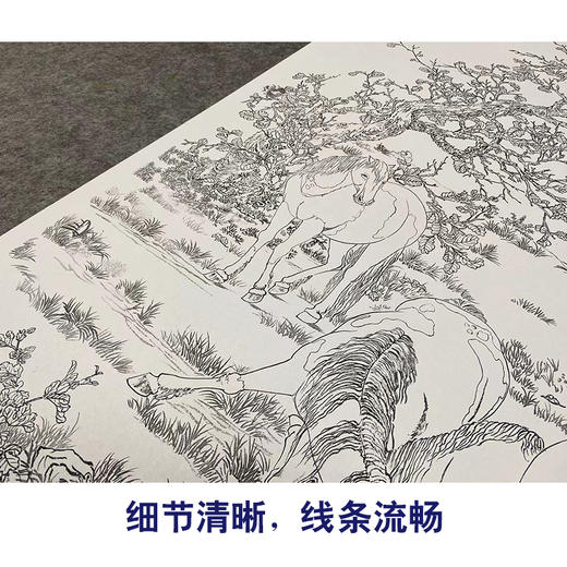 【大彩图】郎世宁工笔画白描底稿《神骏图》骏马临摹勾线高清打印稿LS14 商品图4
