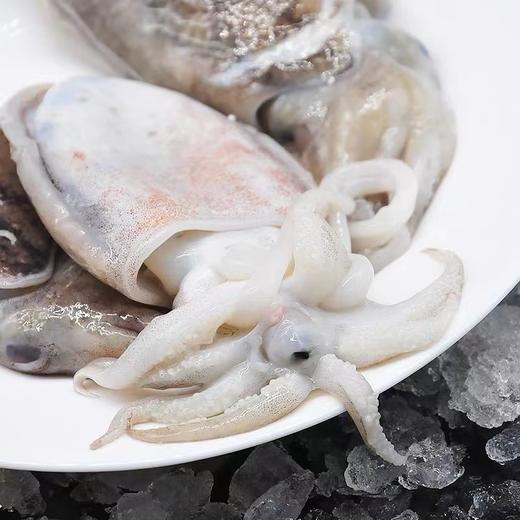 【顺丰包邮】青岛本地 墨鱼——新鲜冷冻 3斤装 商品图2