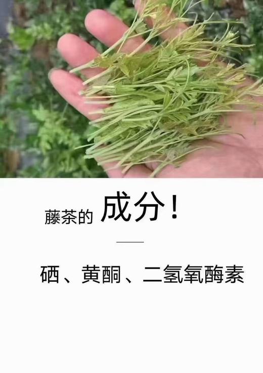 野藤茶 225克/罐 健康之选 商品图3