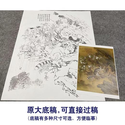 【大彩图】郎世宁工笔画白描底稿《交趾果然图》临摹勾线高清打印稿LS03 商品图1