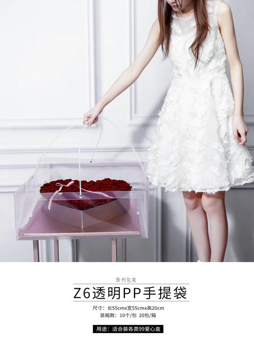 透明花束手提袋礼盒袋H1H2H3H4H5H6Z2Z3Z4C1C2 商品图2