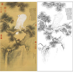 【大彩图】郎世宁工笔画白描底稿《白鹰图》临摹勾线高清打印稿LS05