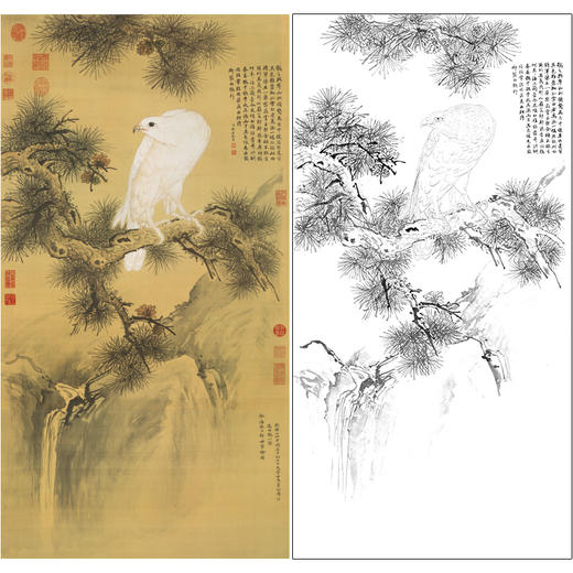 【大彩图】郎世宁工笔画白描底稿《白鹰图》临摹勾线高清打印稿LS05 商品图0