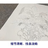 【大彩图】郎世宁工笔画白描底稿《聚瑞图》花瓶临摹勾线高清打印稿LS09 商品缩略图4