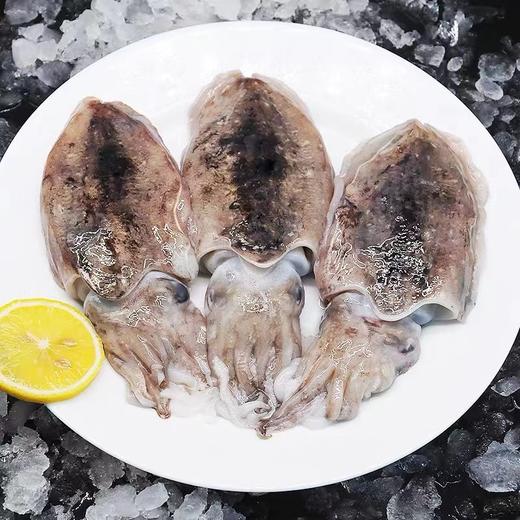 【顺丰包邮】青岛本地 墨鱼——新鲜冷冻 3斤装 商品图0