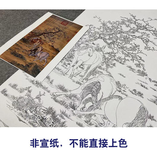 【大彩图】郎世宁工笔画白描底稿《神骏图》骏马临摹勾线高清打印稿LS14 商品图2
