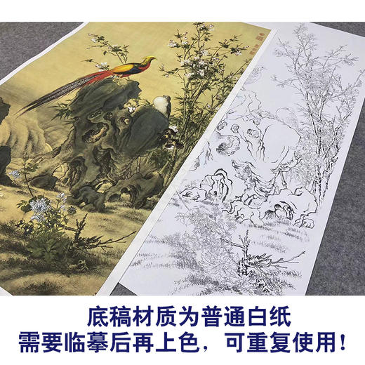 【大彩图】郎世宁工笔画白描底稿《锦春图》锦鸡临摹勾线高清打印稿LS02 商品图3