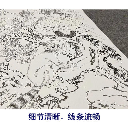 【大彩图】郎世宁工笔画白描底稿《交趾果然图》临摹勾线高清打印稿LS03 商品图4