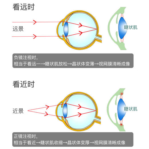手动版翻转拍 商品图4