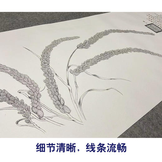 【大彩图】郎世宁横幅工笔画白描底稿《瑞谷图》临摹勾线高清打印稿LS17 商品图4