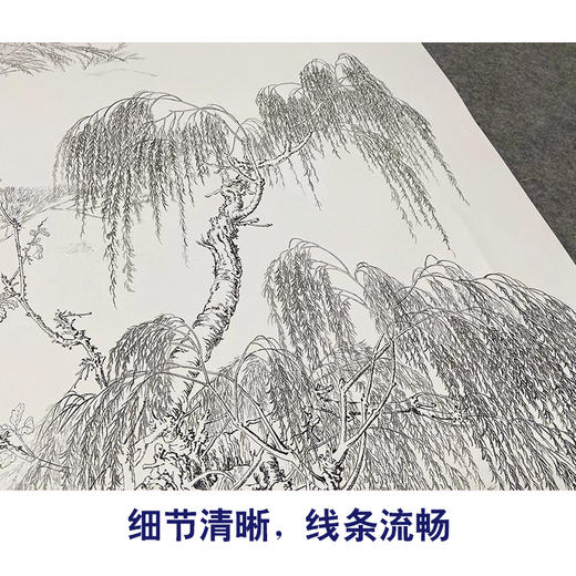 【大彩图】郎世宁工笔画白描底稿《八骏图》临摹勾线高清打印稿LS06 商品图4