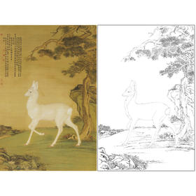 【大彩图】郎世宁工笔画白描底稿《瑞麅图》临摹勾线高清打印稿LS04