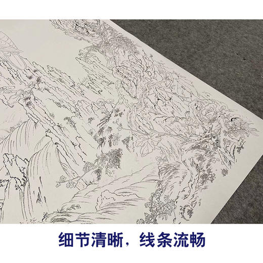 【大彩图】郎世宁工笔画白描底稿《嵩献英芝图》白鹰临摹勾线高清打印稿LS16 商品图4