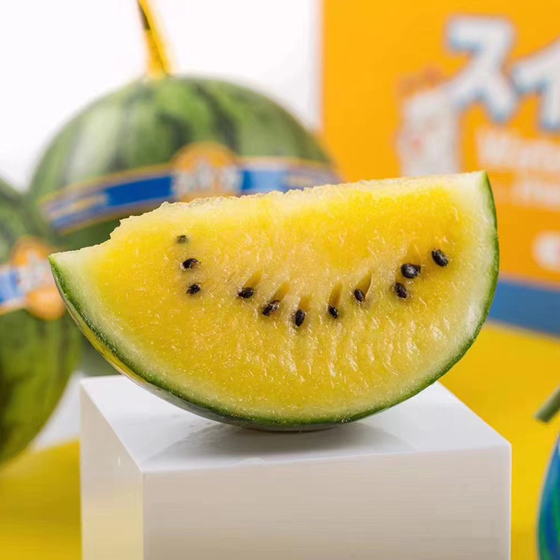 黄金宝西瓜种子