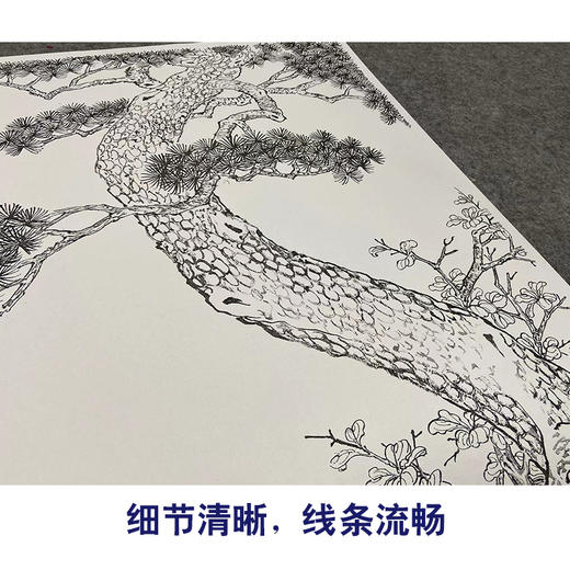 【大彩图】郎世宁工笔画白描底稿《双狮图》狮子临摹勾线高清打印稿LS15 商品图4