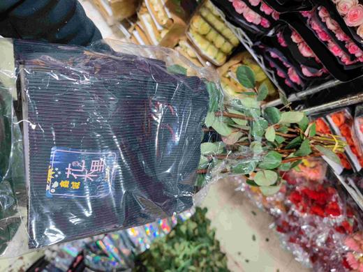 花木里，欢乐颂45公分 商品图1