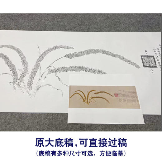 【大彩图】郎世宁横幅工笔画白描底稿《瑞谷图》临摹勾线高清打印稿LS17 商品图1