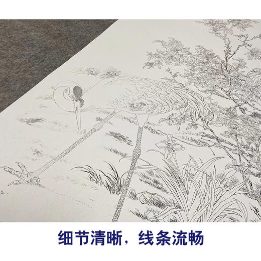 【大彩图】郎世宁工笔画白描底稿《花阴双鹤图》仙鹤临摹勾线高清打印稿LS01 商品图4